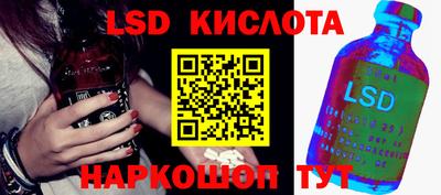прущие грибы Комсомольск-на-Амуре