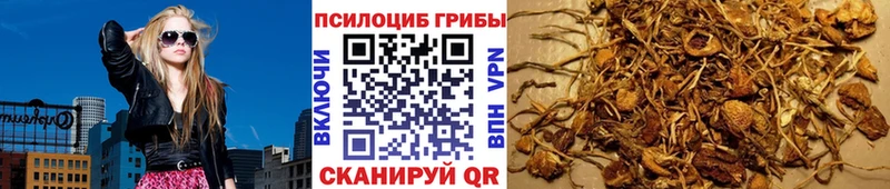 кракен как зайти  Котельники  Псилоцибиновые грибы MAGIC MUSHROOMS 