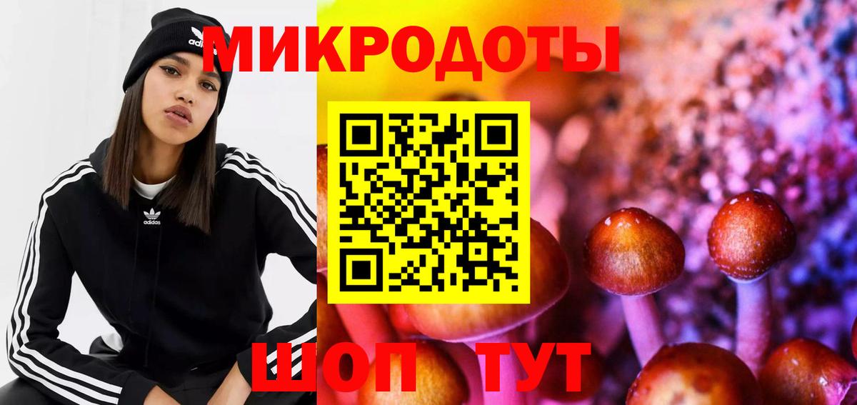 Псилоцибиновые грибы Psilocybe  Псилоцибиновые грибы прущие грибы  Вход с VPN  Котельники 